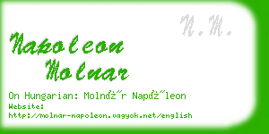 napoleon molnar business card